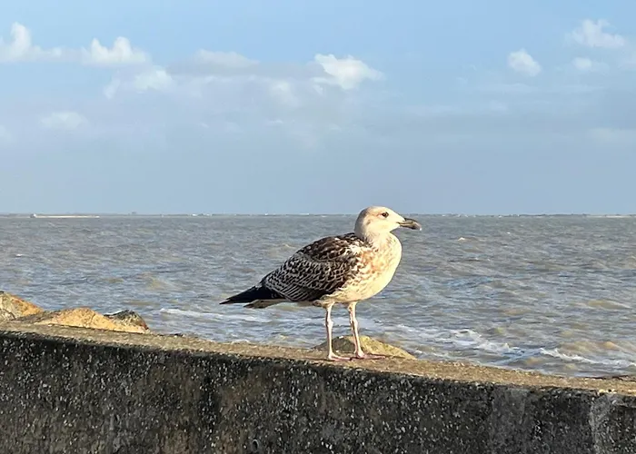 La Genette Apartment *