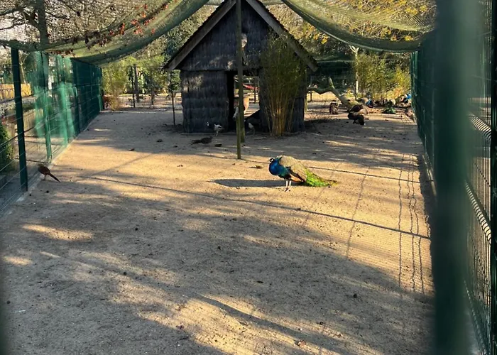 La Genette Apartment La Rochelle (Charente-Maritime)